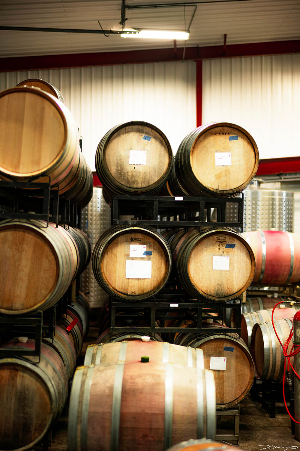 Photos with Communique Wines in McMinville, Oregon, in the Fall of 2020.